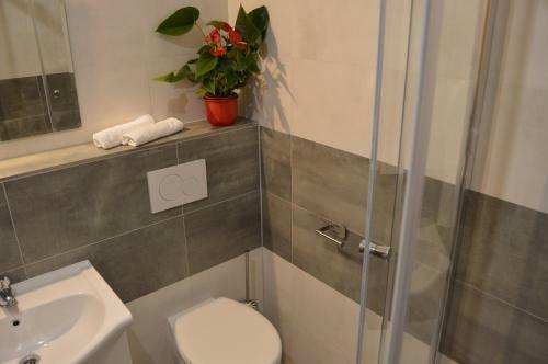 Hostal Vila L�pa