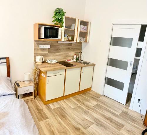 Private Apartment - Park Olomouc - Super Lokalita