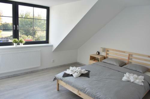 Apartmany U Letiste