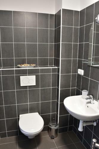 Apartmany U Letiste