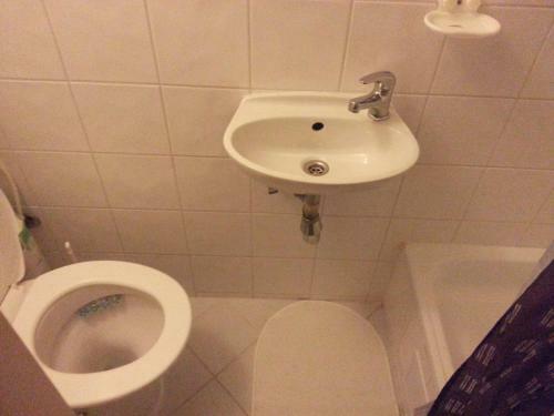 Hostal Horsk� Bouda Dimrovka