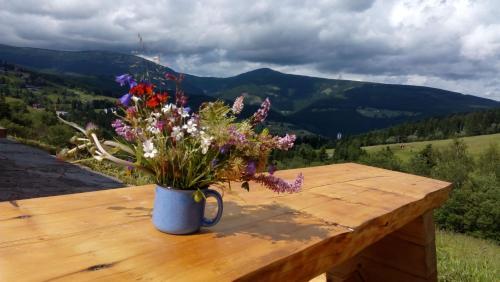 Hostal Horsk� Bouda Dimrovka