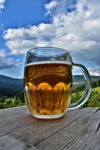 Hostal Horsk� Bouda Dimrovka