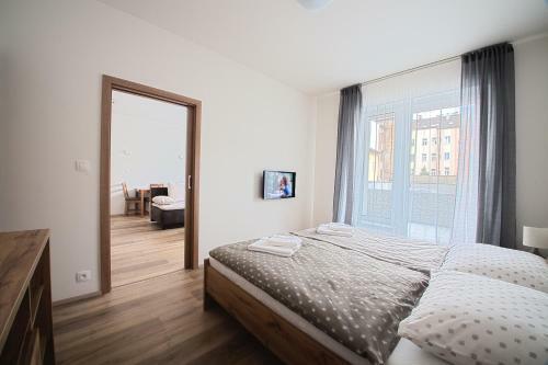 Apartamento Sunny, Fully Furnished Studio Type With Terrace