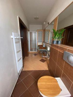 Apartm�ny Vila Lucia #4