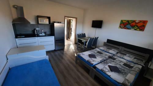 Hostal Penzion U Vody