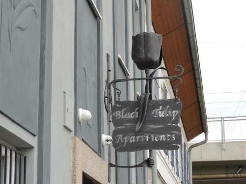 Apartm�ny ?ern� Tulip�n #3
