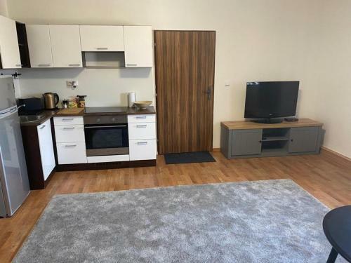 Apartm�ny ?ern� Tulip�n #3