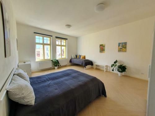 Spacious Luxury Apartment In The City Center