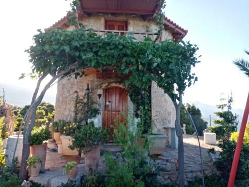 Traditional Windmill-milos
