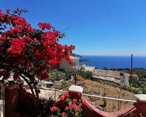 Apartamento Vassilis Panoramic Sea View Village House