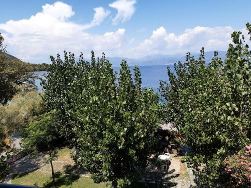 Apartamento Blue Garden