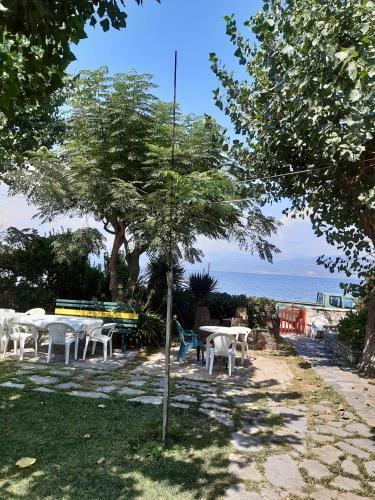 Apartamento Blue Garden