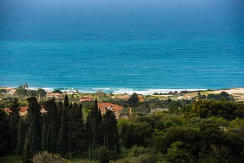 Ionian Mare