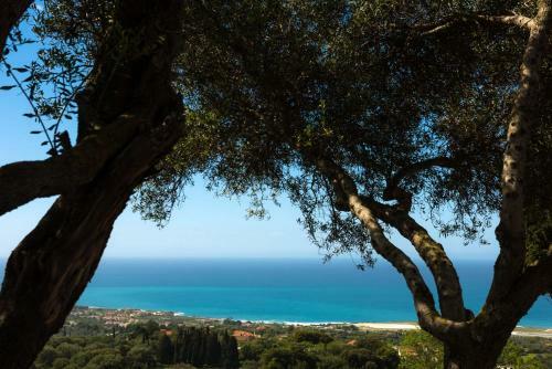 Ionian Mare