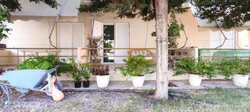 Apartamento Liland Bungalows