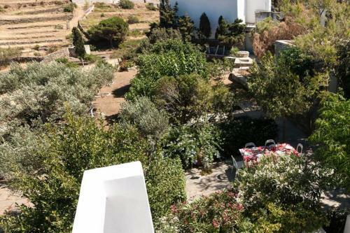 Exquisite Estate, Serene Environment