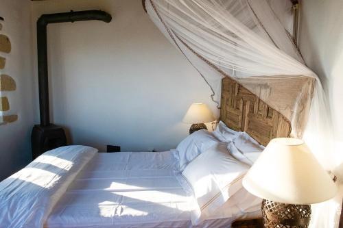 Villa Positivespace Olive Tree