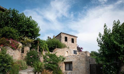 Villa Positivespace Olive Tree
