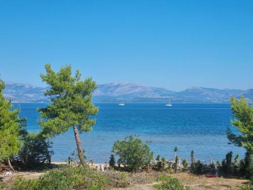 Villa Pied Dans L'eau