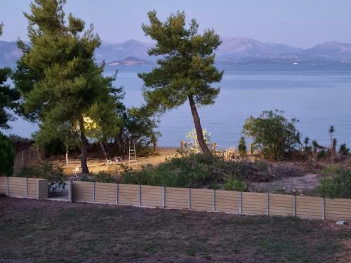 Villa Pied Dans L'eau