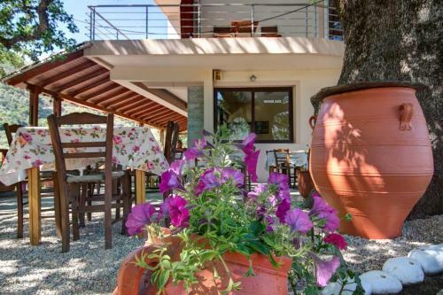 Antartisa B&B