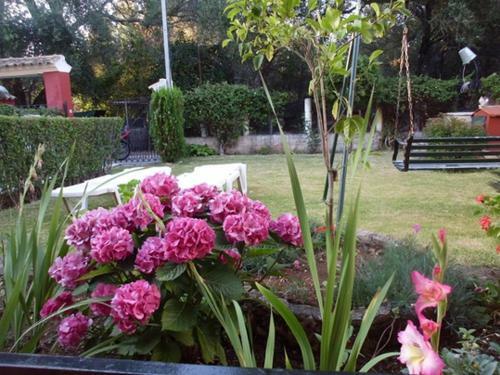 Apartamento Conelli Haus