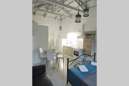 Elena Studio