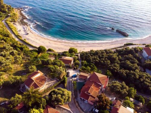 Olive Tree Villa
