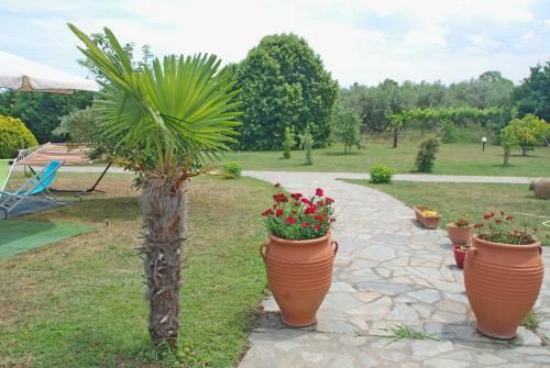 Casa Consta