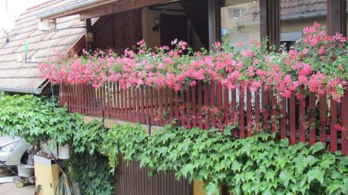 G�te Du Vignoble