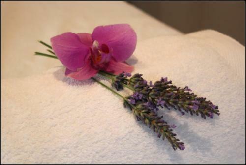 Bed & Breakfast A L'or�e Du Pin