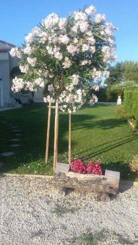 Bed & Breakfast Chambre Du Raisin