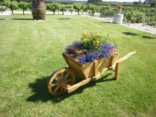 Bed & Breakfast Chambre Du Raisin