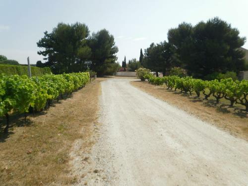 Bed & Breakfast Chambre Du Raisin