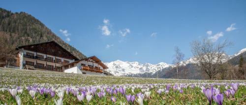Hotel Ultnerhof