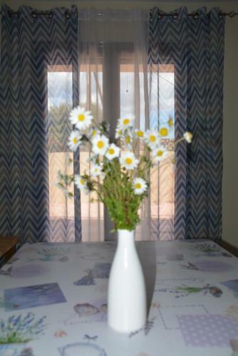 Lotus Studio Apartment North