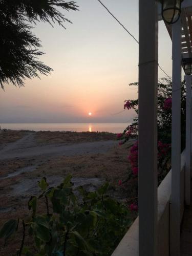 Villa Sirene