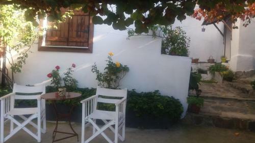 Apartamento Estian Makrinitsas