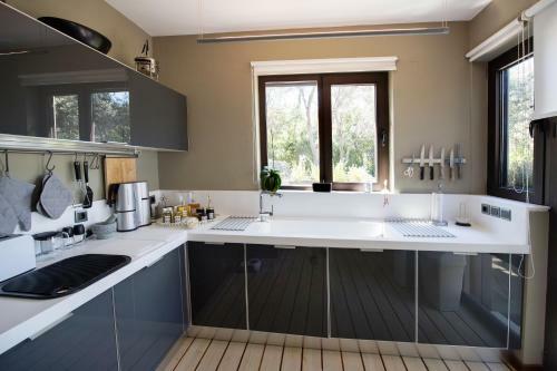 Apanemia Luxury Villa, Lefkada