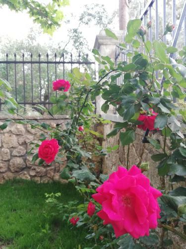 Agroturismo La Casa Di Caterina
