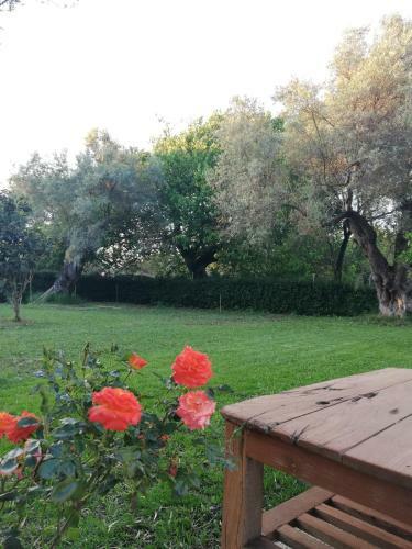 Agroturismo La Casa Di Caterina