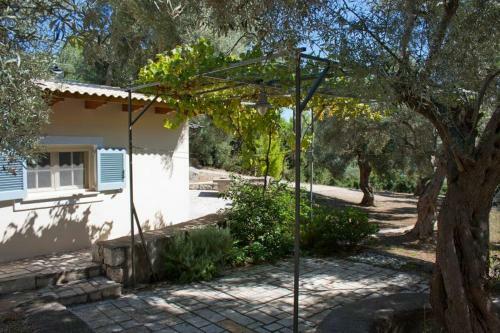 Olive Grove Cottage - Excellent View