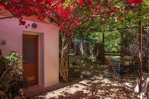 Apartamento Lefkada Town Traditional House / Cozy Yard