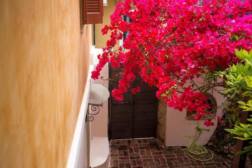 Apartamento Lefkada Town Traditional House / Cozy Yard