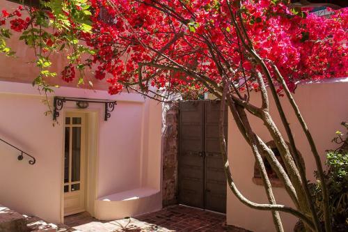 Apartamento Lefkada Town Traditional House / Cozy Yard