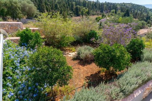 Villa Euphoria Retreat