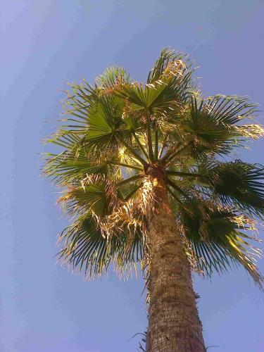 Apartament Leon Maleme Do 6 Os.