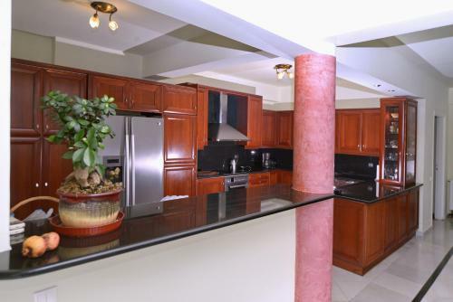 Anemolia Luxurious Villa