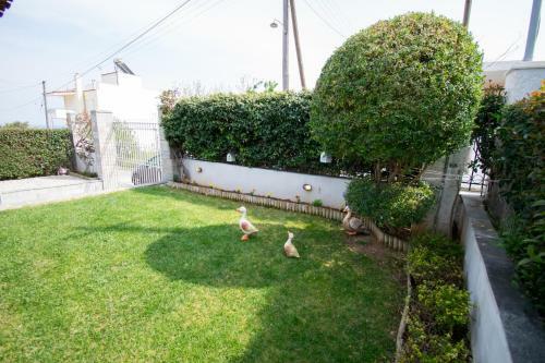 Charming Traditional Hideaway